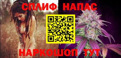 индика Будённовск