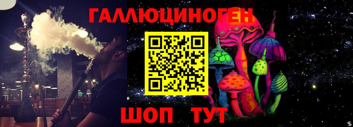 Кизляр  Галлюциногенные грибы Magic Shrooms  Псилоцибиновые грибы Psilocybe  Вход с VPN 