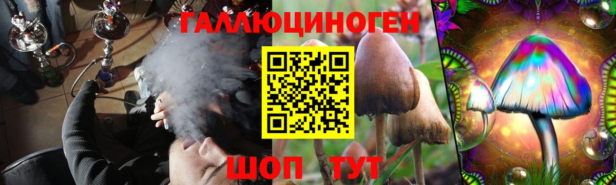 Галлюциногенные грибы Cubensis Кизляр